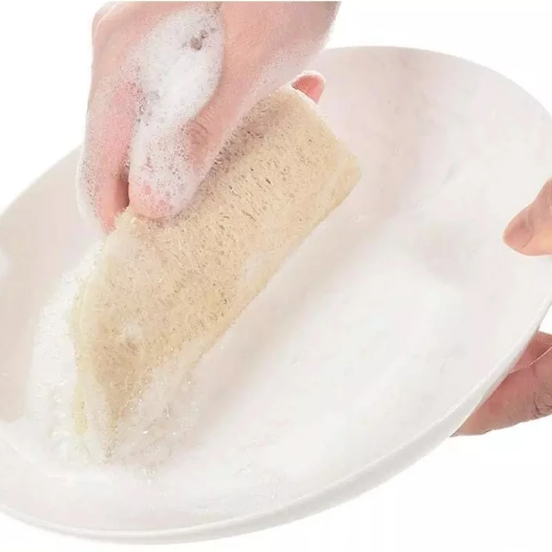  Kitchen Dish Loofah Pad