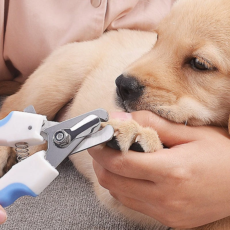 Dog Nail Clippers with Nail File
