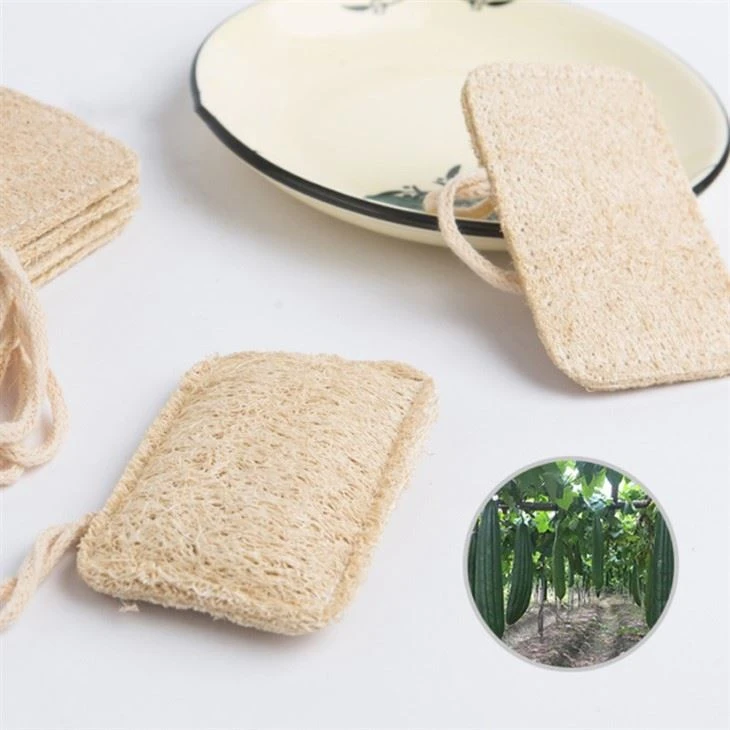 Biodegradable Kitchen Dish Loofah Pad
